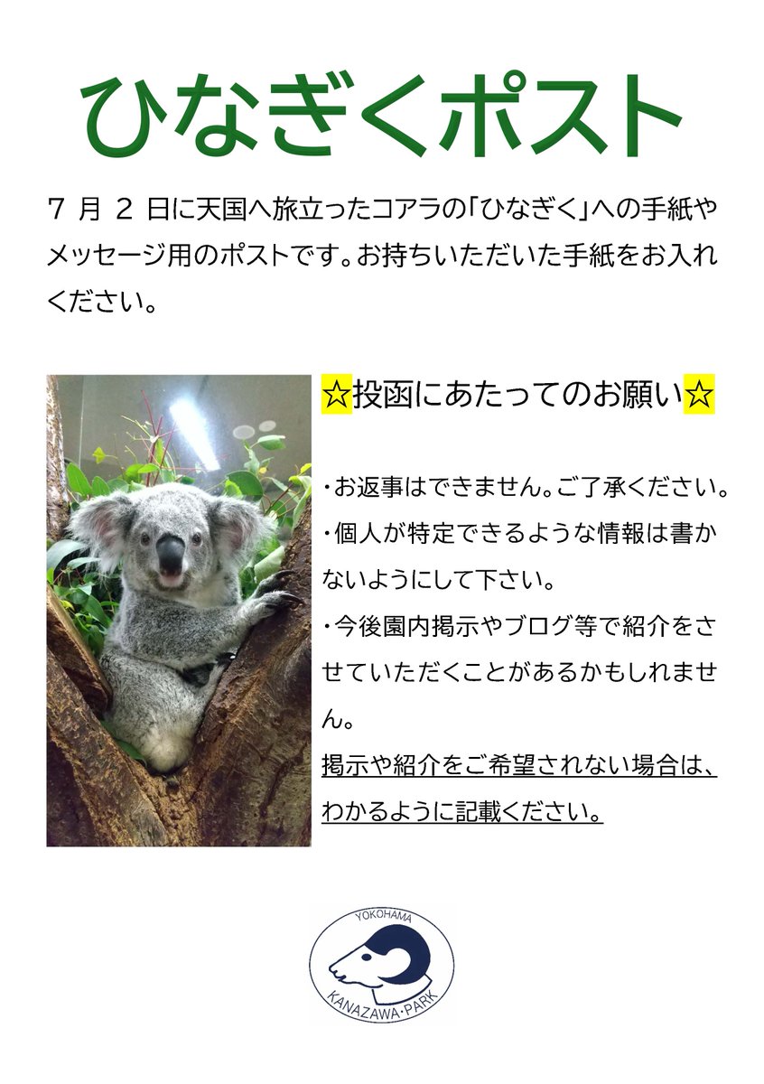 7月2日に死亡した当園生まれのコアラのひなぎく。献花台は設けており