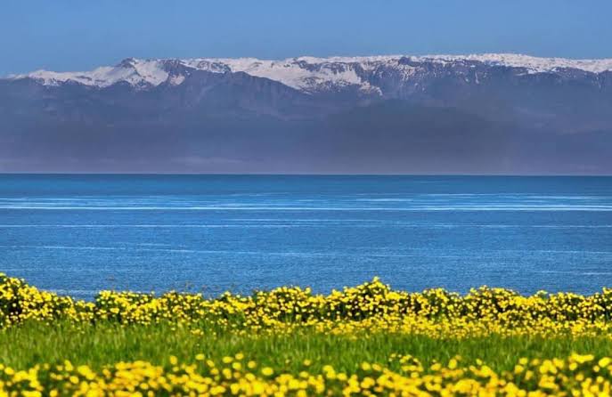 #toros #KıbrısBarısHarekatı