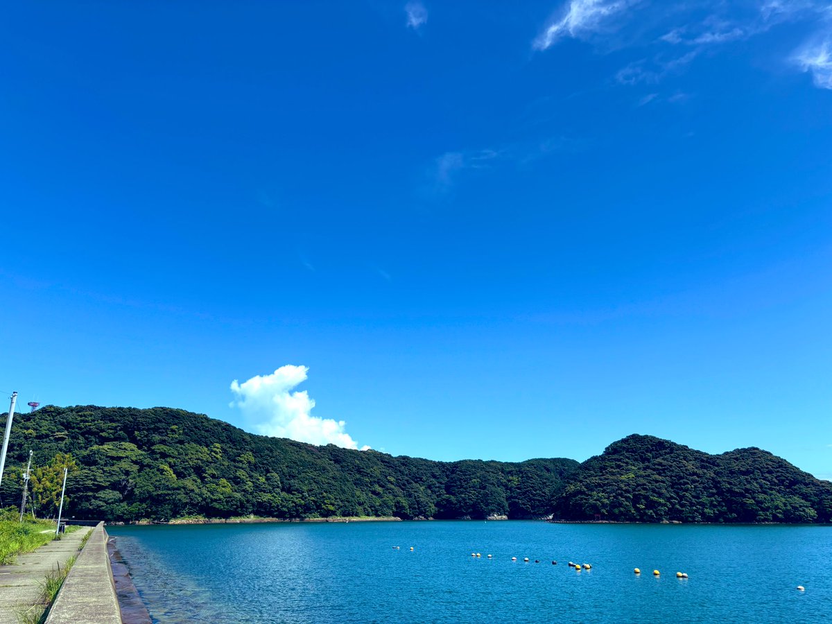 夏ですな🫠