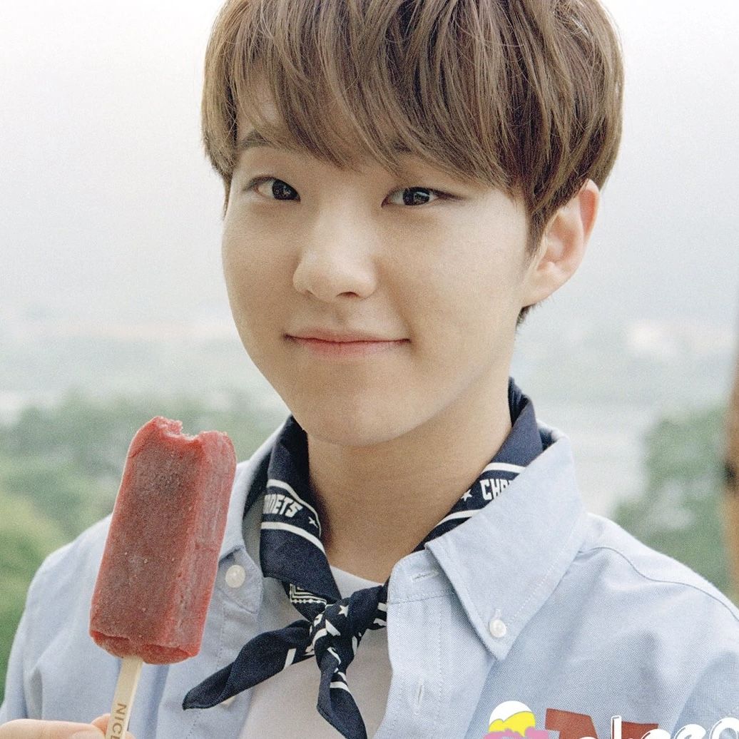 svtlowqual's tweet photo. gemini gemini gemini gemini gemini #HOSHI https://t.co/oUbyQa5YqW