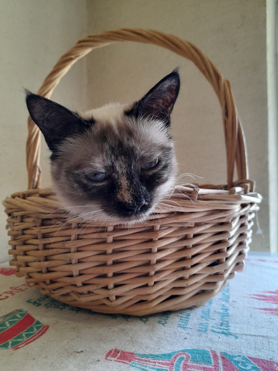 Toujours l'air aussi aimable