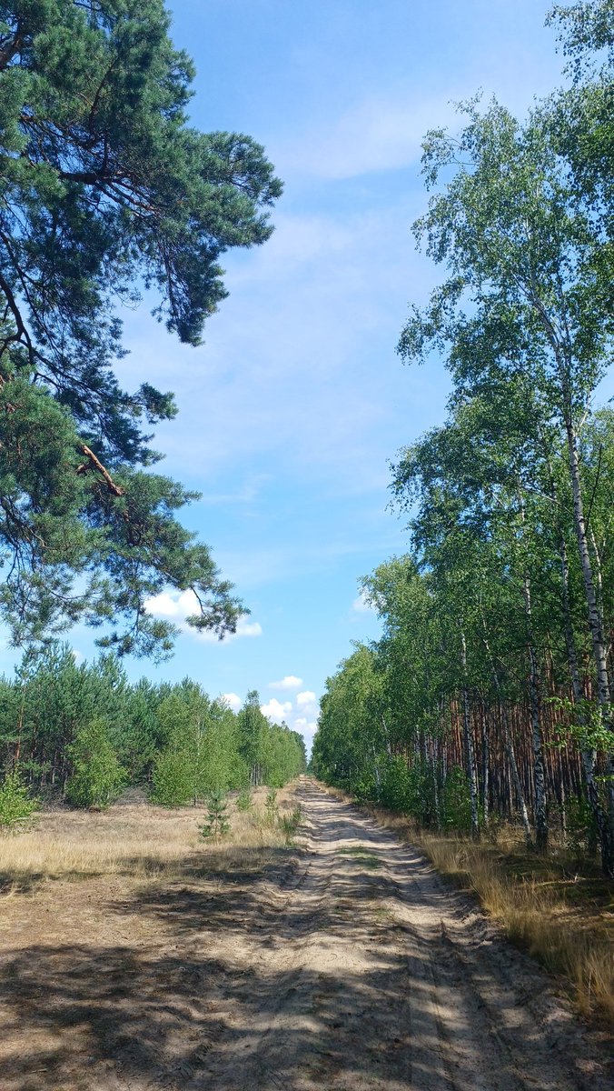 anna_rake's tweet image. Walking :) Weather is lovely for walk. I'm in the middle of forest almost 40 km away my home :)