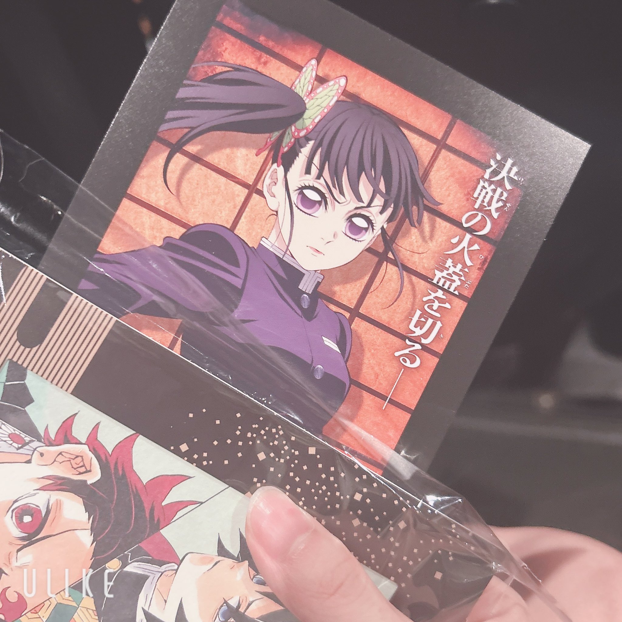彼岸蝶座の色無江音☔救済 on X: 