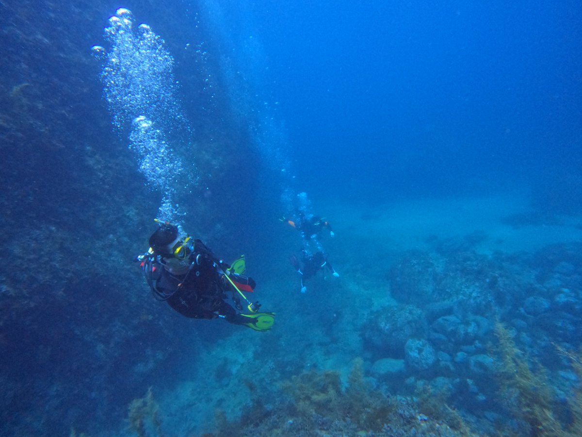 umizono's tweet image. 今日はファン3ボート!
①高瀬 水温24.6度(水深18m)透視度15m
②すりばち 水温25.0度(水深15m)透視度15~20m
③羽尾旧突堤沖側 水温25.6度(水深10m)透視度10~15m
凪、透視度もそこそこ良し・・・と超快適なダイビング日和が続いてます。あしたもこのコンディションは続きそうです。#岩美町