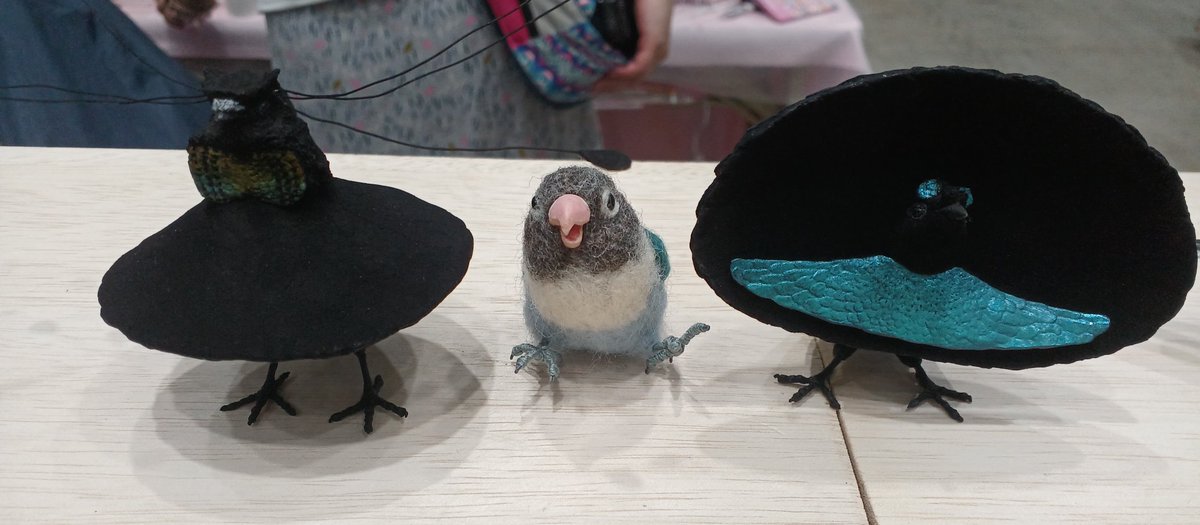 博物ふぇすてぃばる１日目無事終了しました！
沢山お立ち寄りいただきありがとうごさいました！
明日はカラスがちょこっとだけ出ます。
よろしくお願いいたします🐥