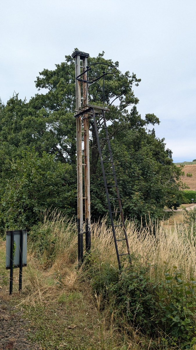 An ex- L&amp;SWR signal post south of Colyton on the Seaton electric tramway (Submitted by <a href="/glenaallen/">VentureGlen</a>)
#SignalOfTheDay