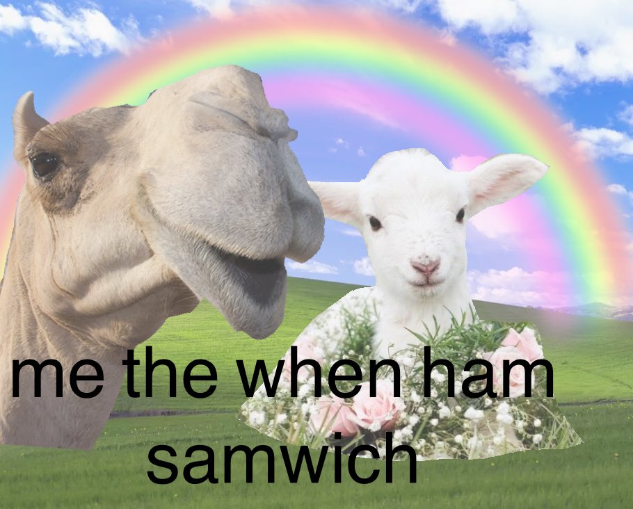 ethaaan22's tweet image. i woke up from a dream where i was shopping for old credit cards in a thrift store and for some reason they all had random sentences instead of names
these are the ones i remember