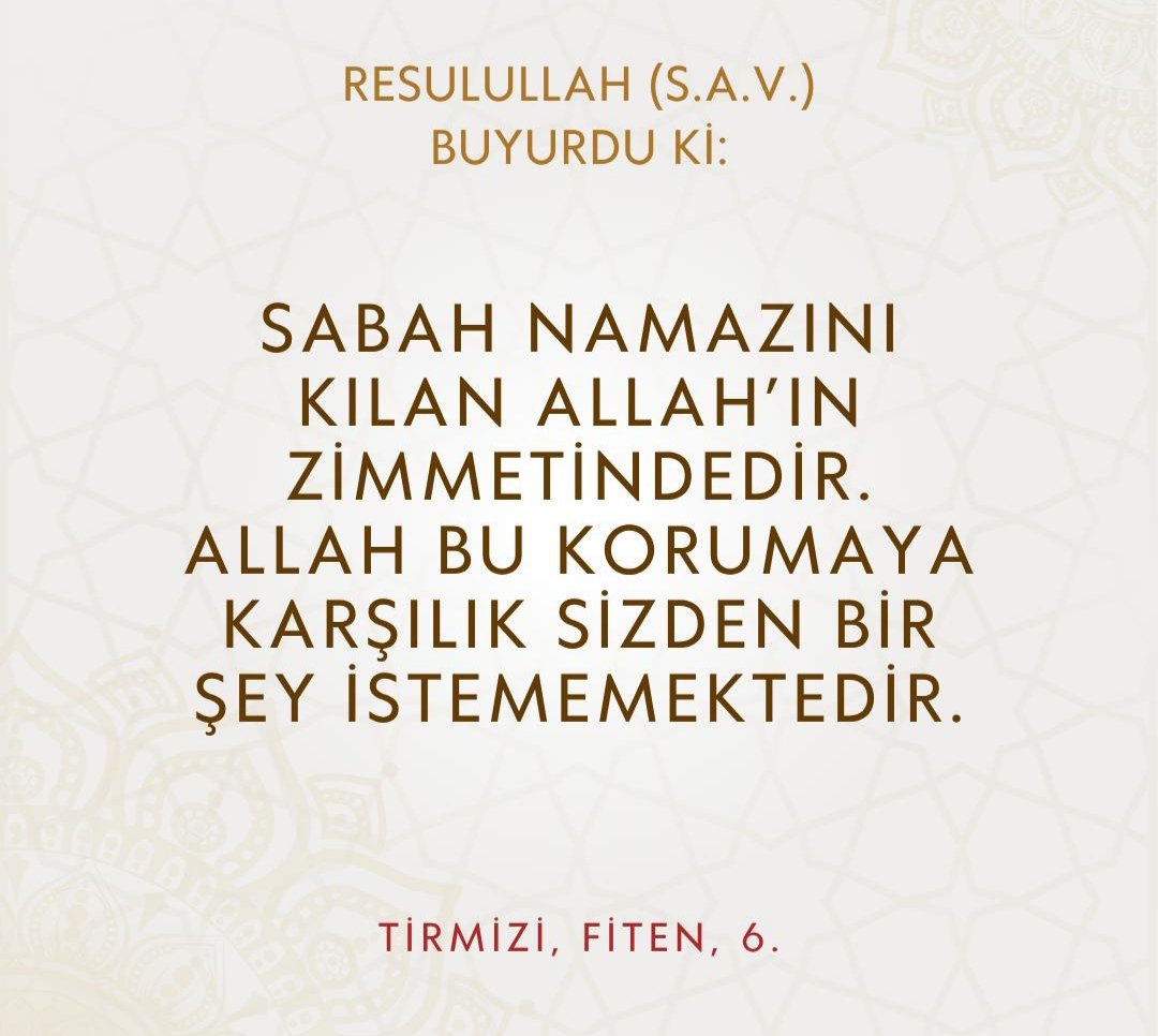 Ayfer GÖZÜTOK (@ayfergozutok) on Twitter photo 