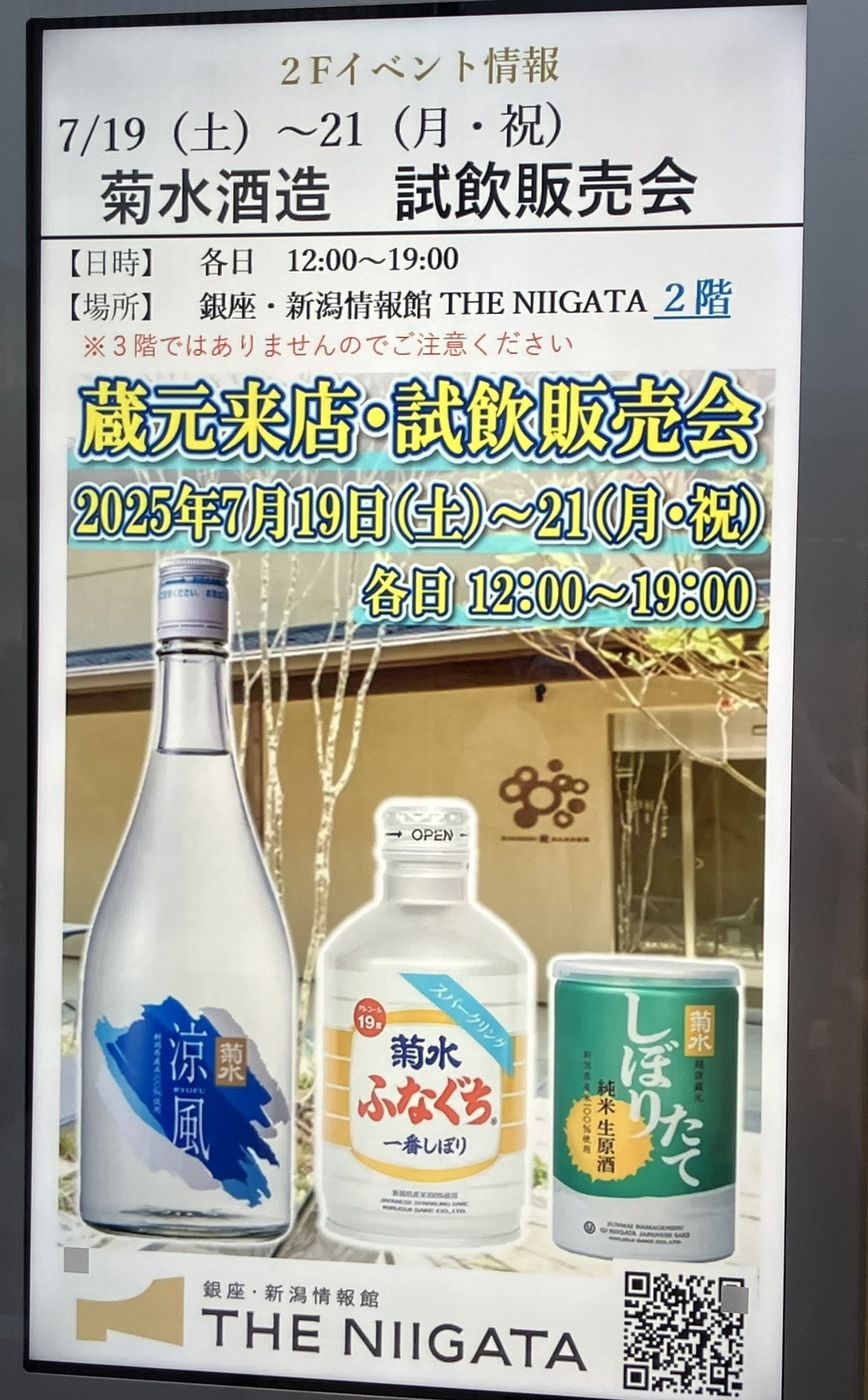 菊水　せっか　鉢ごと発送 白鳥ぴぃ on X: 