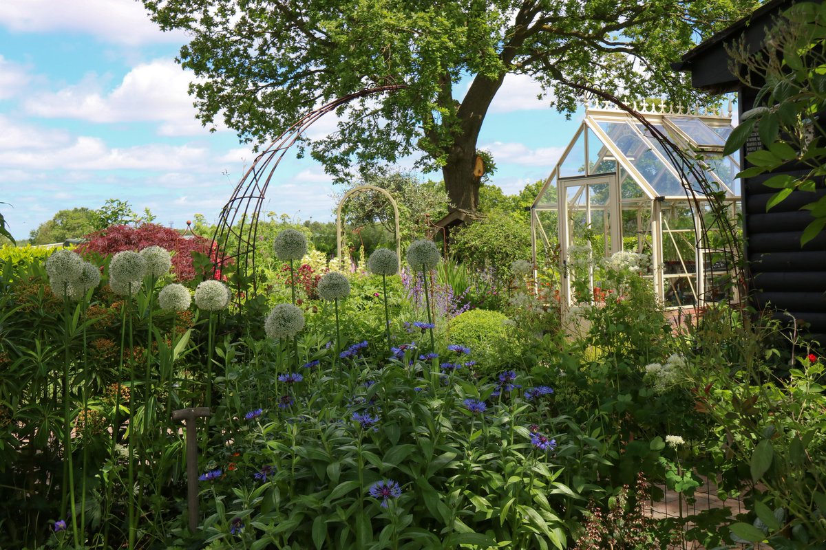 ChesGdnsTrust's tweet image. A big shout out for people who open their gardens for charity. There are four gardens open for National Garden Scheme in Cheshire today, including that of the Cheshire & Wirral County Organiser @JanetsNewHouse in High Legh, WA16 0RZ. Photos © Alison Moore @a1isonmoore