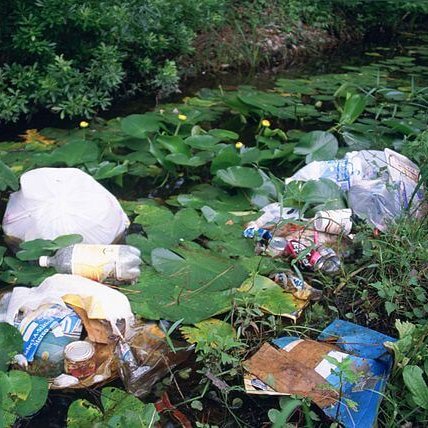 Preventable litter hurting wildlife #litter #rubbish #trash

naturalworldfund.com/preventable-li…