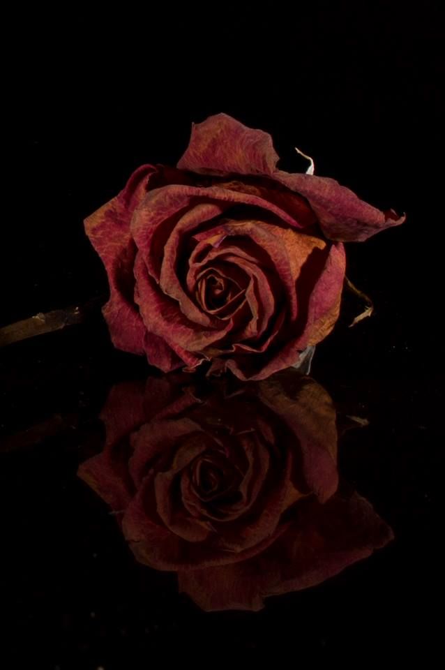 sadness_witch's tweet photo. ᅠ

ᅠ

Quiero amar, quiero amar a alguien con tanta fuerza, que mi corazón reviente y mi cerebro se ahoge en sangre. No me importaría morir por amar como desquiciado, por que mi corazón está cansado, cansado de no poder sentir el calor de un beso o de un abrazo con amor.

ᅠ
ᅠ https://t.co/fQdqkzdSBW