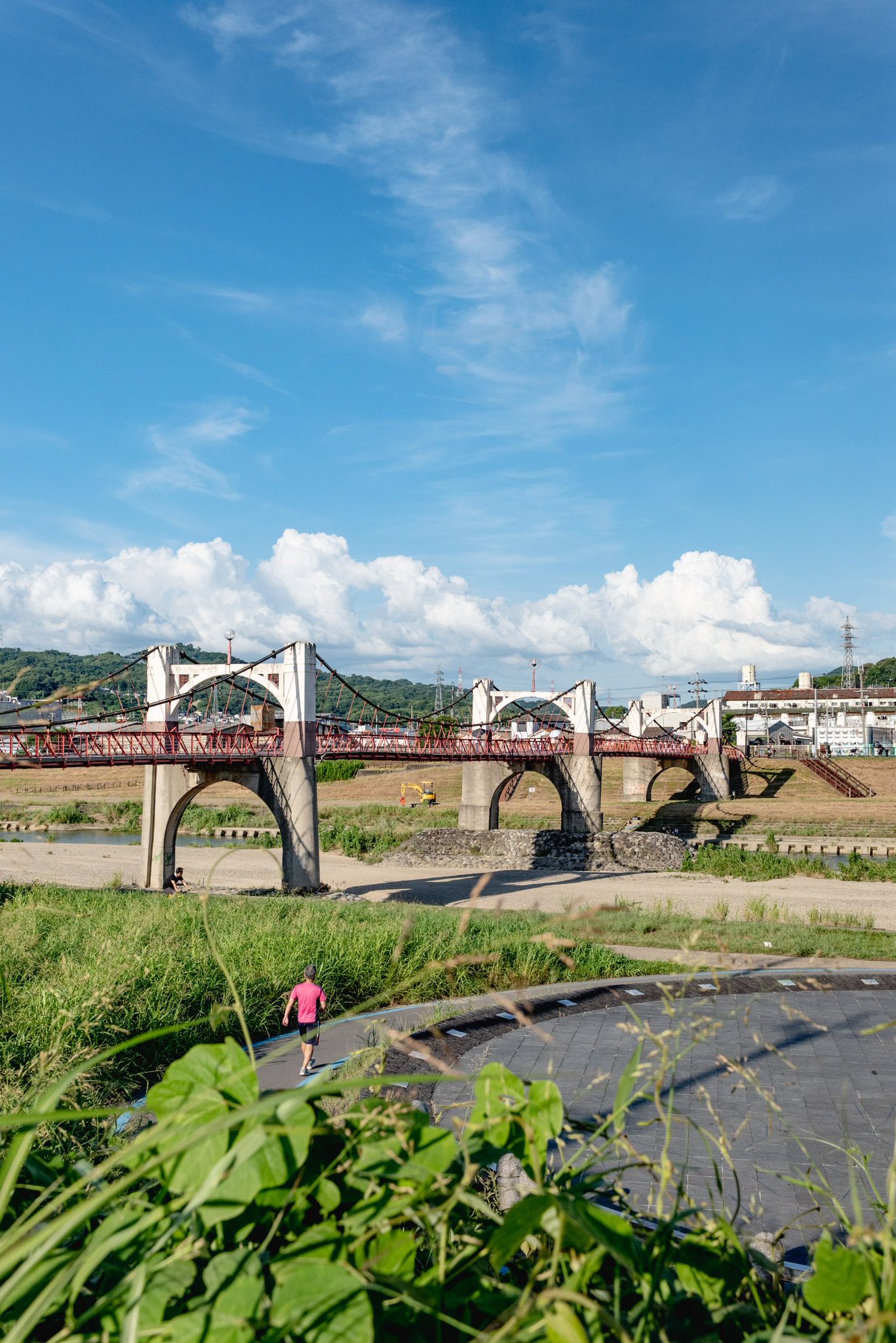 目で見る上州の道 No.186【栃木県】今年で見納めだ！「早乙女桜並木」は伐採される