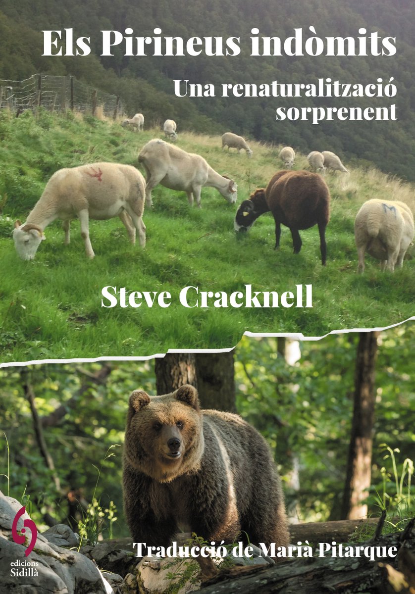 Edicions Sidillà (@sidillaedicions) on Twitter photo El 2023 vam editar Els Pirineus indòmits, d' <a href="/ovella_salvatge/">Steve Cracknell</a>. Un llibre que dona veu a tots els parers sobre la controvertida renaturalització dels Pirineus. Ara s'editarà en francès. Un llibre que no us heu de perdre si us interessa el tema.
edicionssidilla.cat/els-nostres-ll… El 2023 vam editar Els Pirineus indòmits, d' <a href="/ovella_salvatge/">Steve Cracknell</a>. Un llibre que dona veu a tots els parers sobre la controvertida renaturalització dels Pirineus. Ara s'editarà en francès. Un llibre que no us heu de perdre si us interessa el tema.
edicionssidilla.cat/els-nostres-ll…