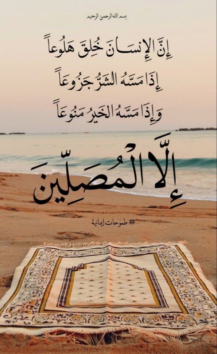 MOHAMMAD ALOBAID tweet media