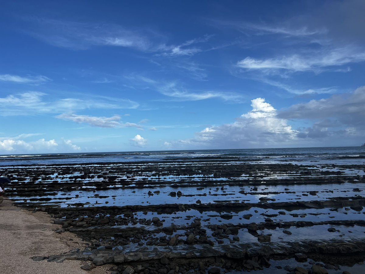 kencyoro0207's tweet image. 青い空と青い海とハンバーガーを堪能