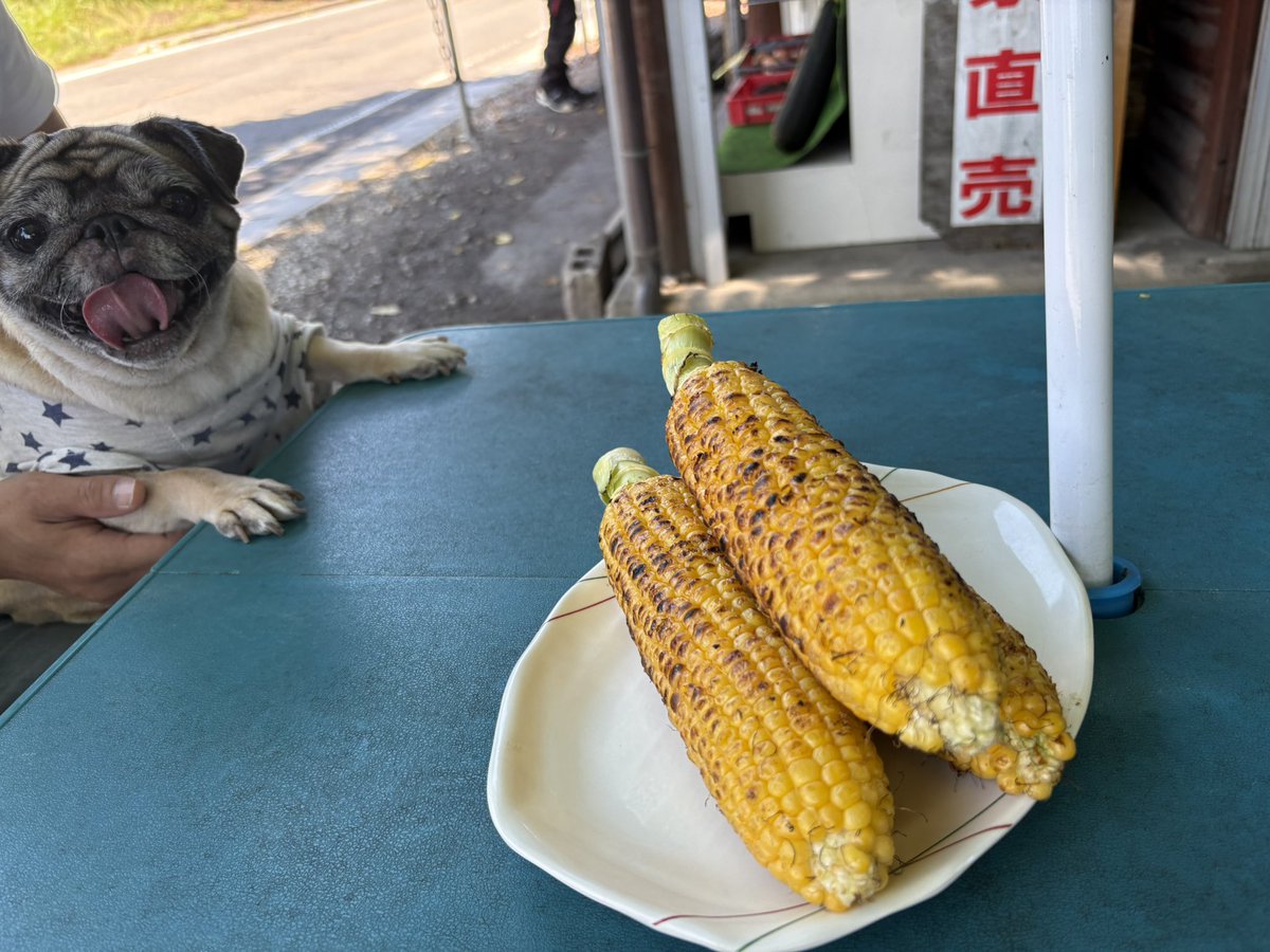 flyingfeather55's tweet image. 今日は日光、片品周辺の滝めぐりととうもろこし街道ツアー🌽