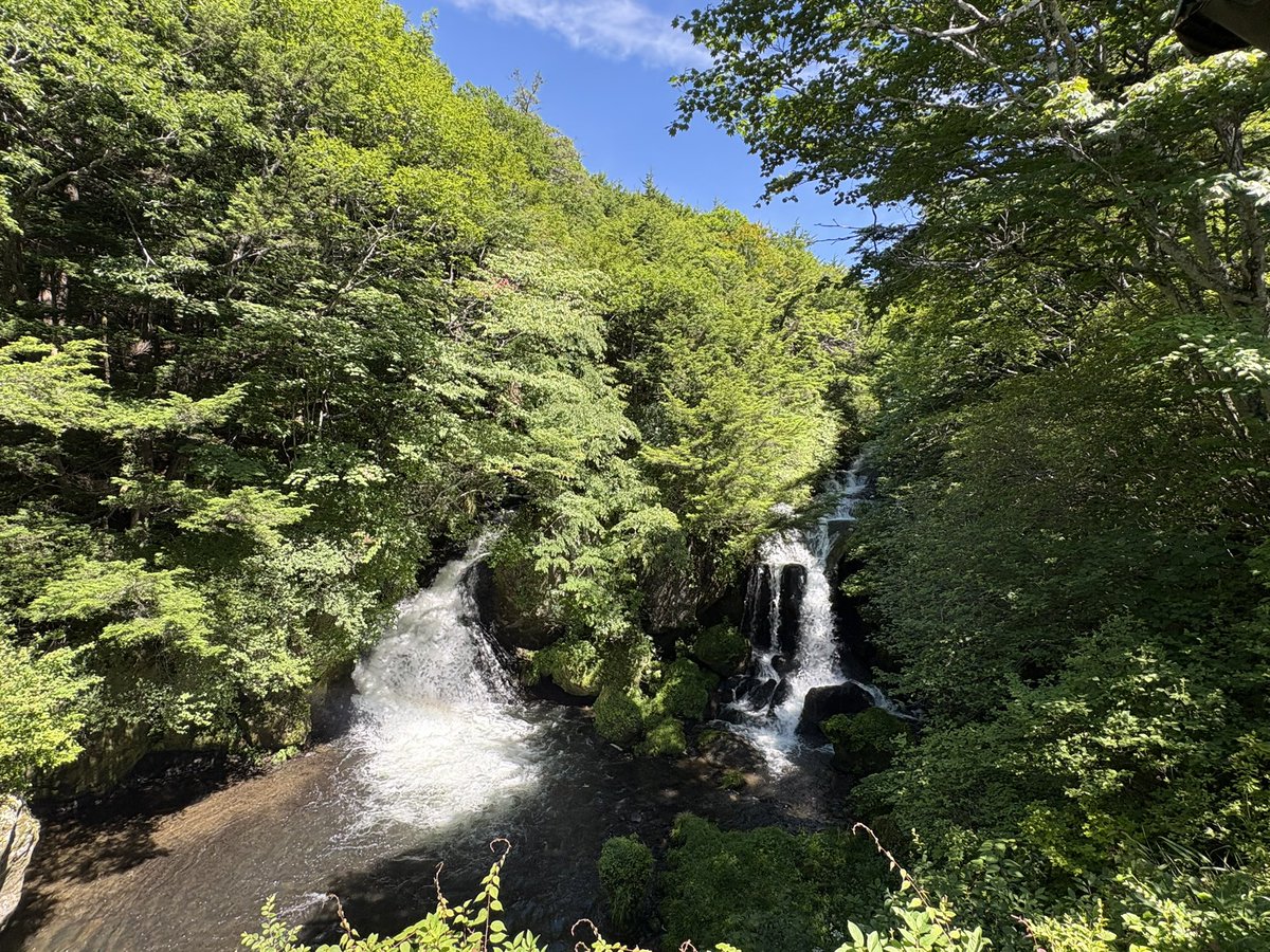 flyingfeather55's tweet image. 今日は日光、片品周辺の滝めぐりととうもろこし街道ツアー🌽