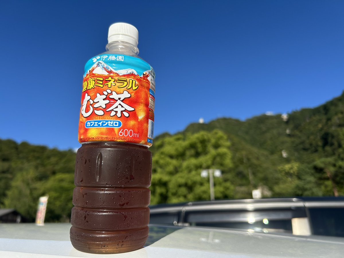 岐阜城！
