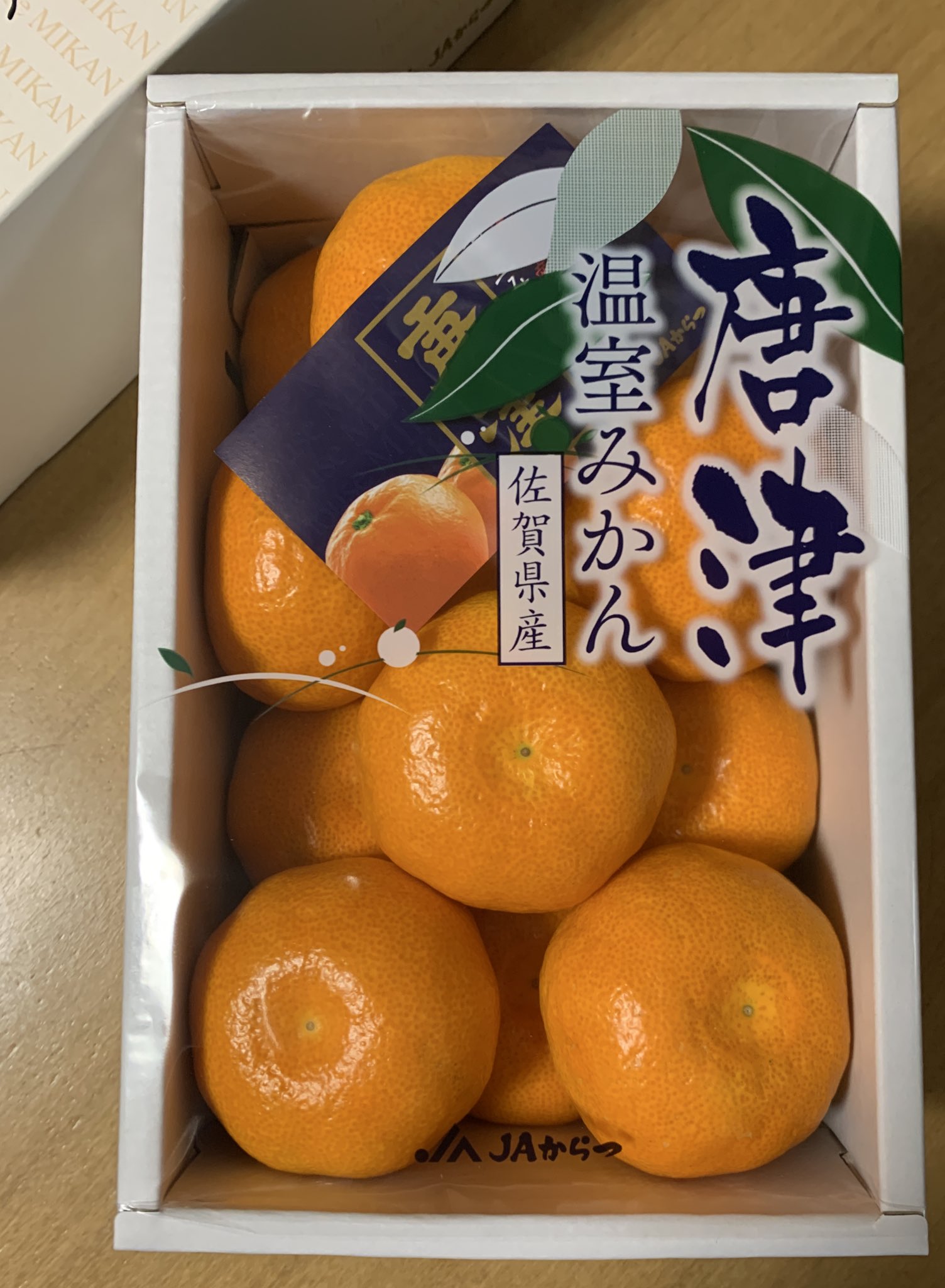 みかん ムッキーちゃん 8個 オレンジ 大人気 8個入り 甘夏 みかん