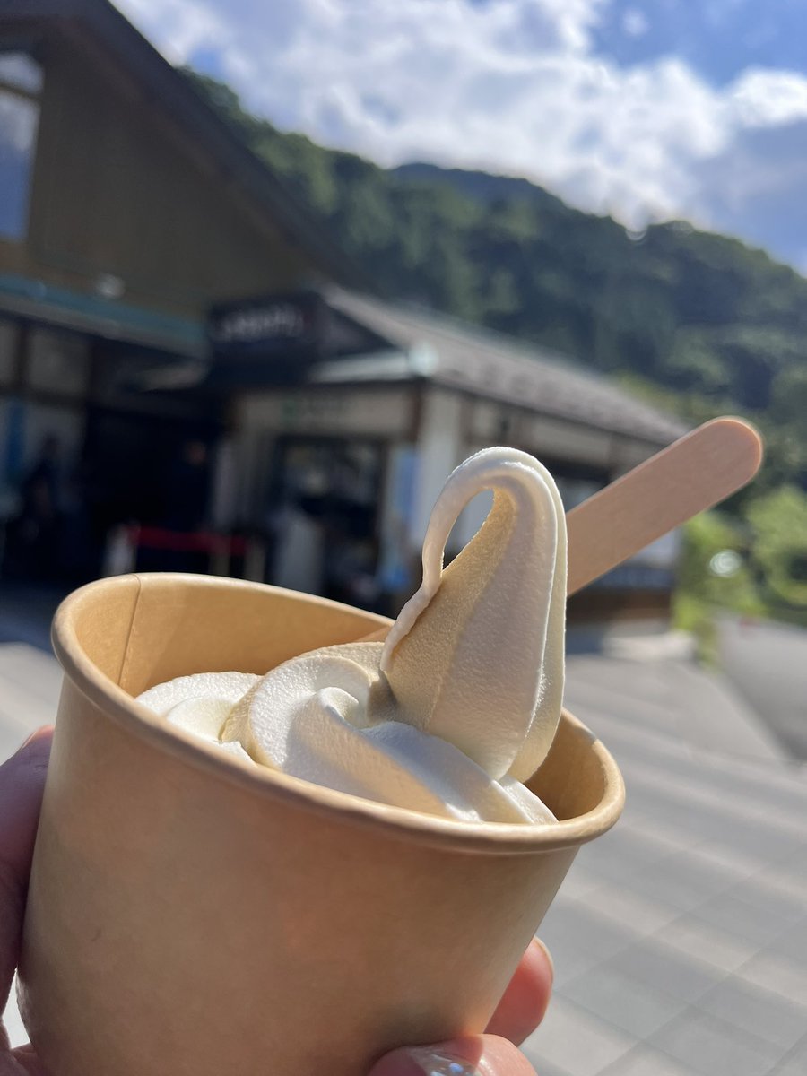 Y86483137's tweet image. 雀川砂防ダム公園〰️道の駅芦ヶ久保までドライブ🚗³₃
お天気がいいから川にもいっぱい人がいた☀️.°
自然の中って気持ちがいいね𓂃𓂂ꕤ*.゚
紅茶&ミルクのソフトクリームも美味しかった🍦😋ෆ̈