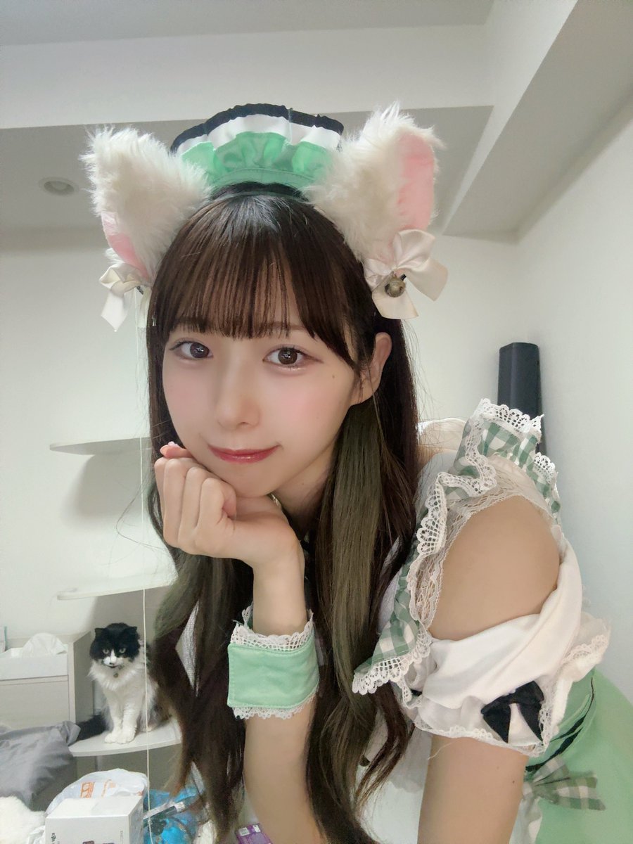shinpeiSSR's tweet image. ネコとネコ🐾🐾