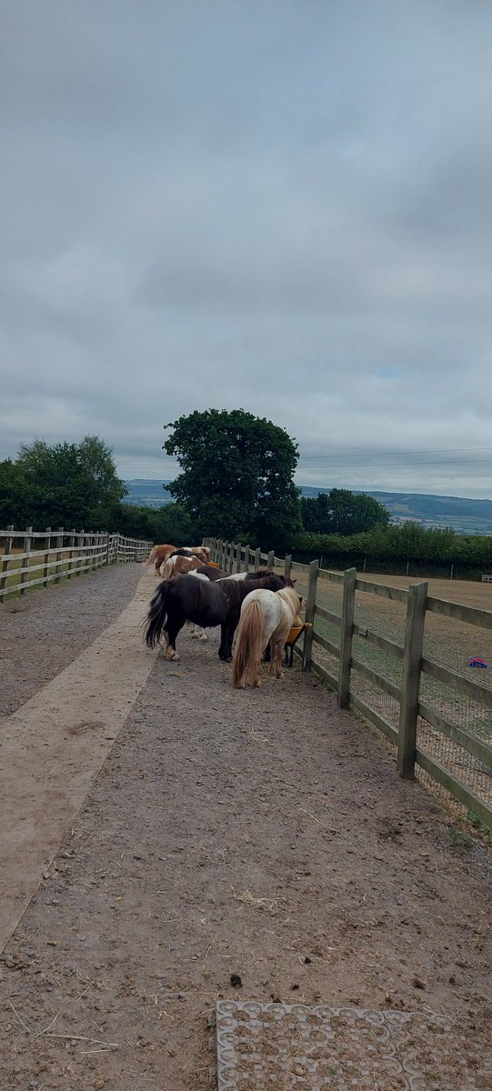 AnnDHenderson's tweet image. Lovely few days in #Devon with family #TimeOff