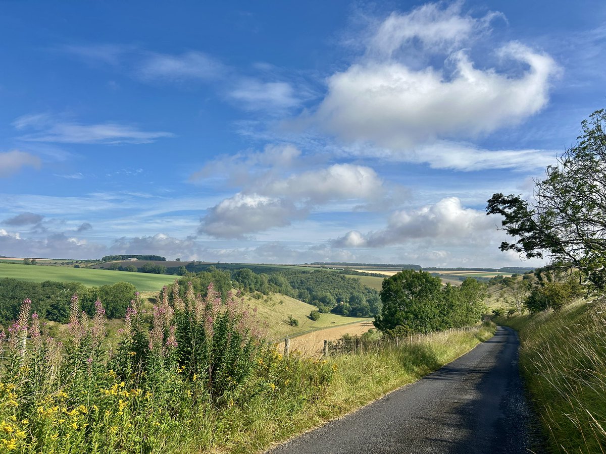 WeatherWolds's tweet image. Early Morning Lanes. 18°C. Golden Rod.