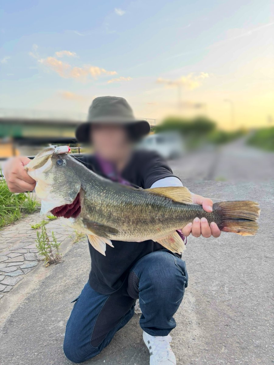 DH1Sml512L43180's tweet photo. 初めてバスを釣りに行きました🐟
ジェイボーイで良く釣れるとのことでウキウキで投げてみたら54センチのバスが釣れたよ😊

使用タックル
ビーテスラー2nd
PE0.4号
リーダー5lb

#レオンのプライベートコンテスト
#ナッゾジグヘビーゾーン 
#ジェイボーイ 
#インクスレーベル https://t.co/TNYGosk7lP