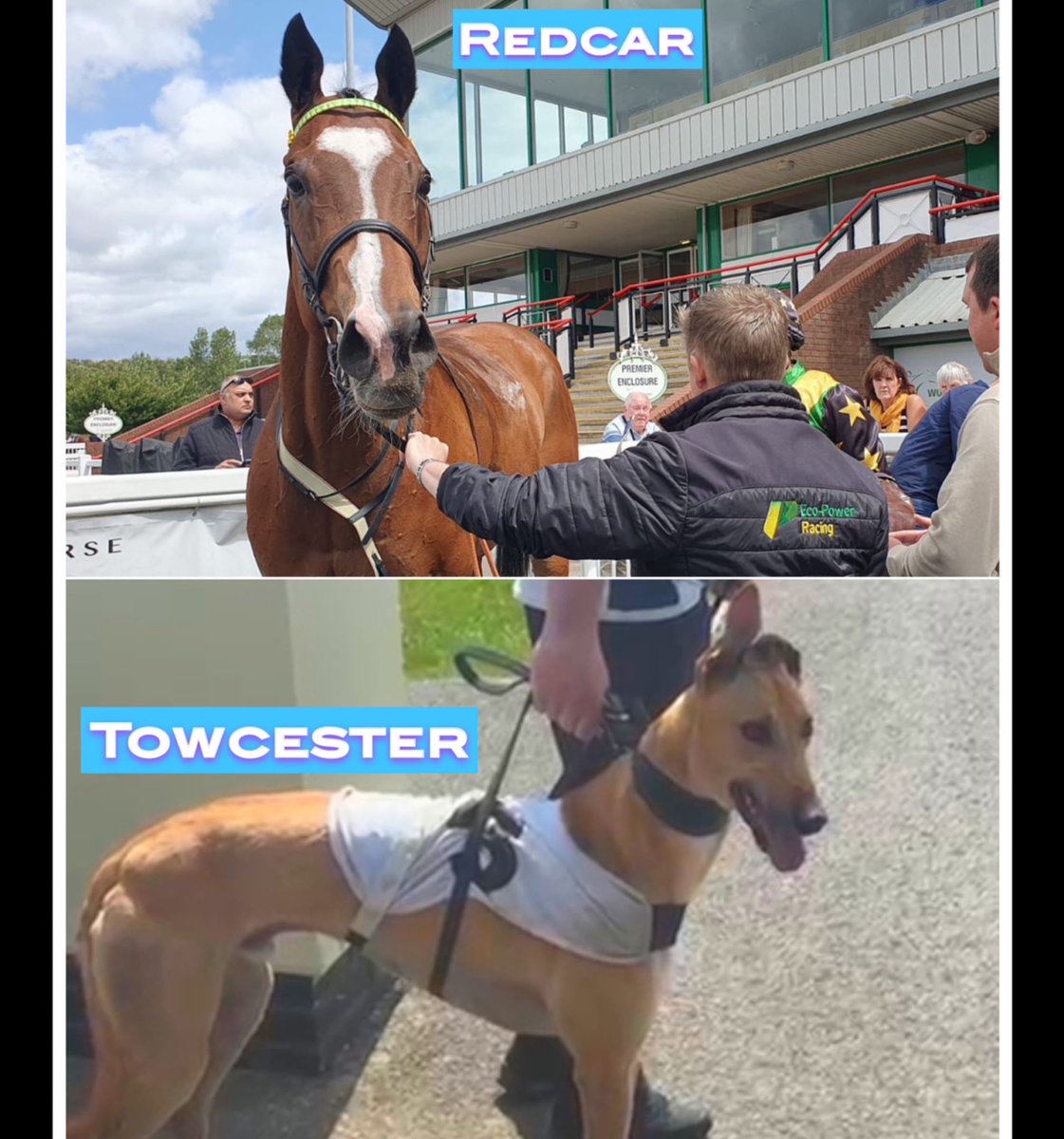 LET'S GET BEHIND OUR BOYS! 

It's not often you have a horse and a dog running on the same day!

TEAM DIGITIPS 😍

🏇🐾
