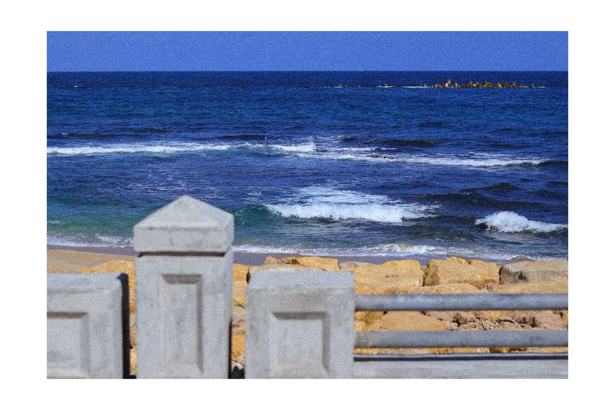 GazellesUG's tweet image. 📸 - Postcards from the City of Alexandria, Egypt
#GazellesBasketball