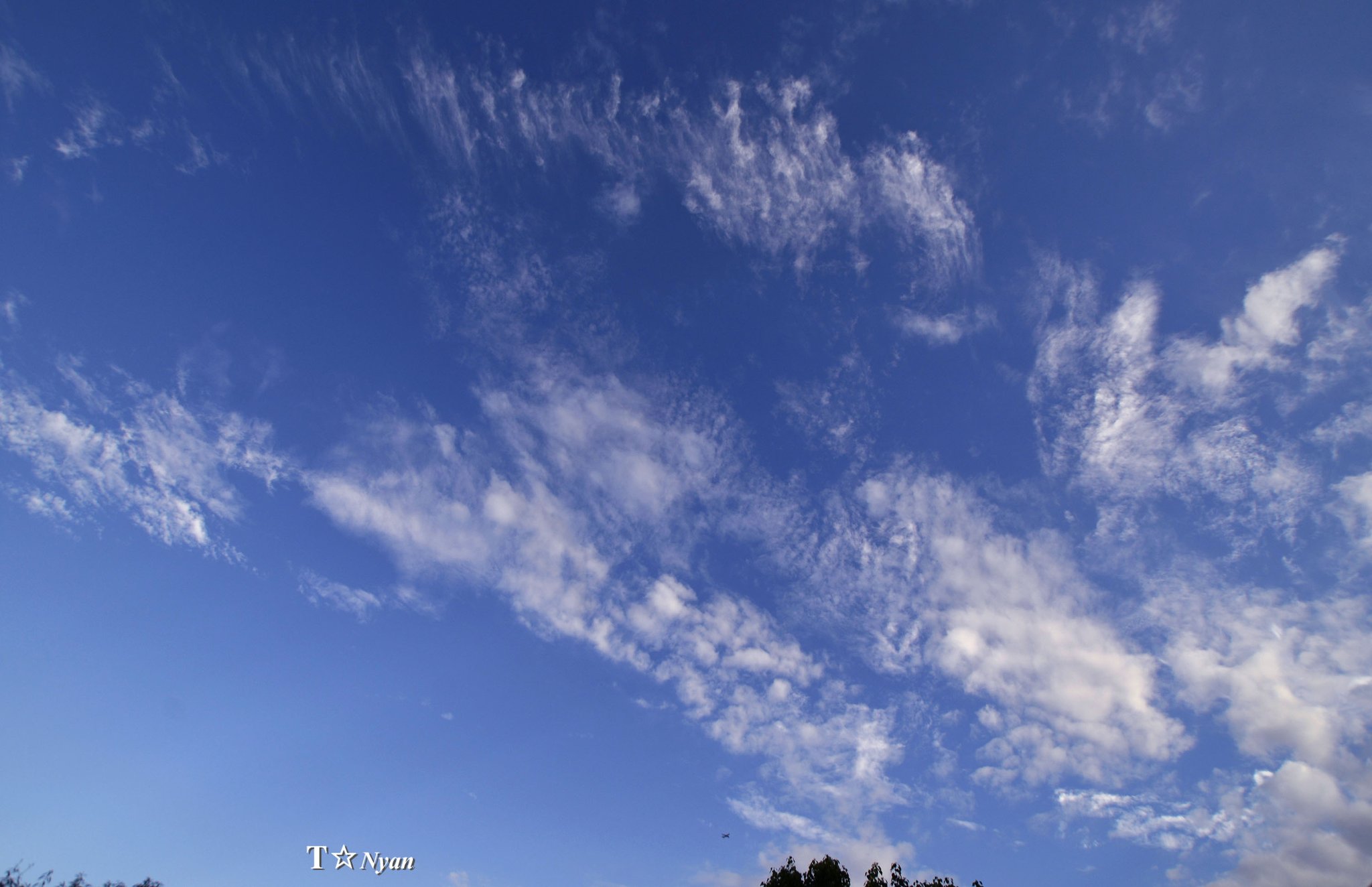 DREAMS FLOAT 青空と白い雲 青い空と白い雲の自然の虹 | Premium写真