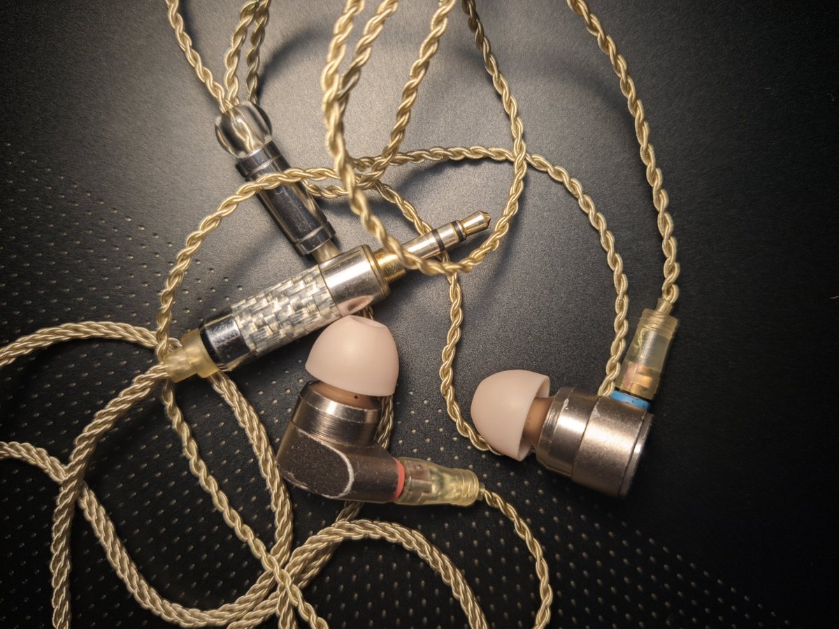 5. TinHiFi T2 – Aged like fine wine. Dual DD still punches. Built like a tank — will last a few decades.