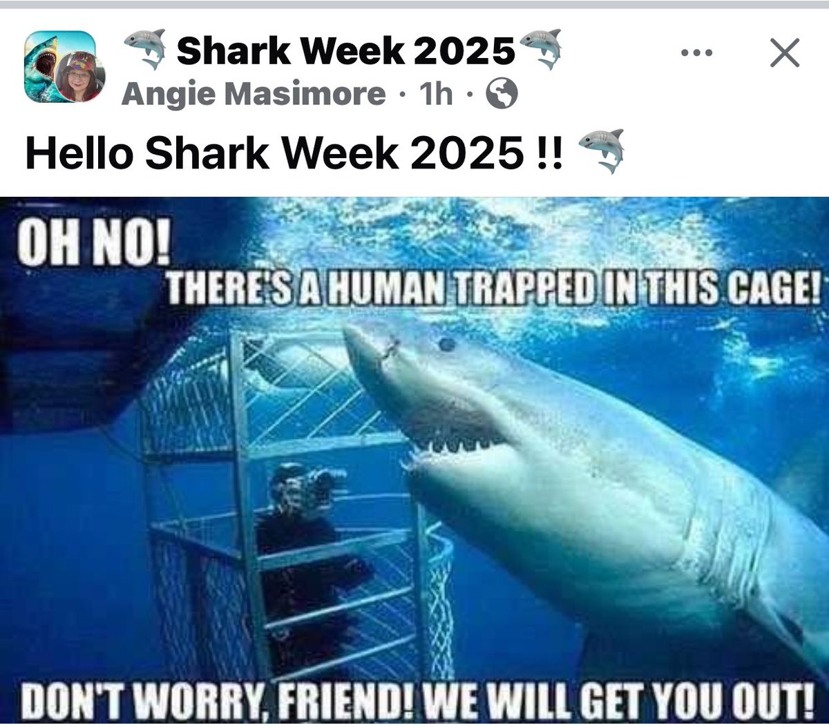 Best week of the entire summer!    #SharkWeek   🦈