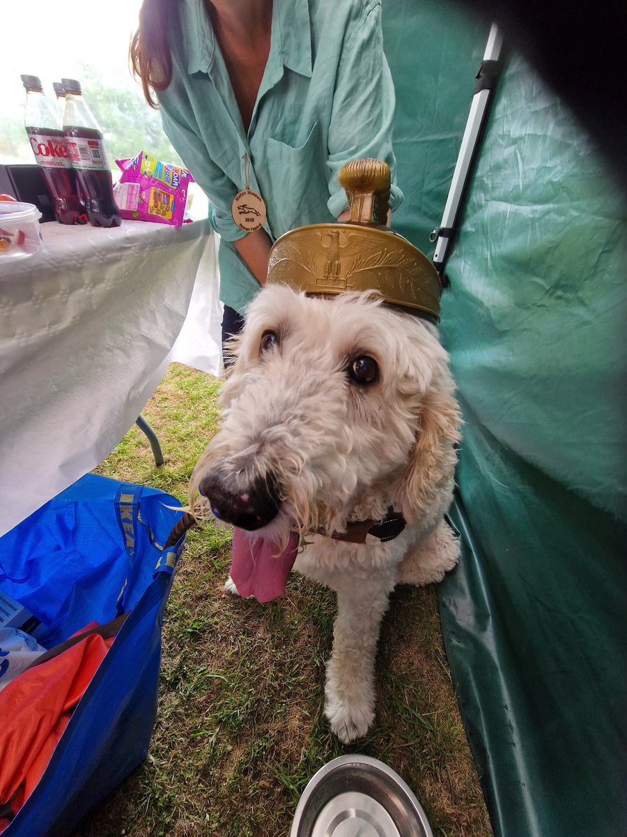 SimonElliott20's tweet image. Fabulous for Sara, Hector the Archaeological Dog and I to spend time with great friends at the lovely @MaltonMuseum Roman History Festival today!