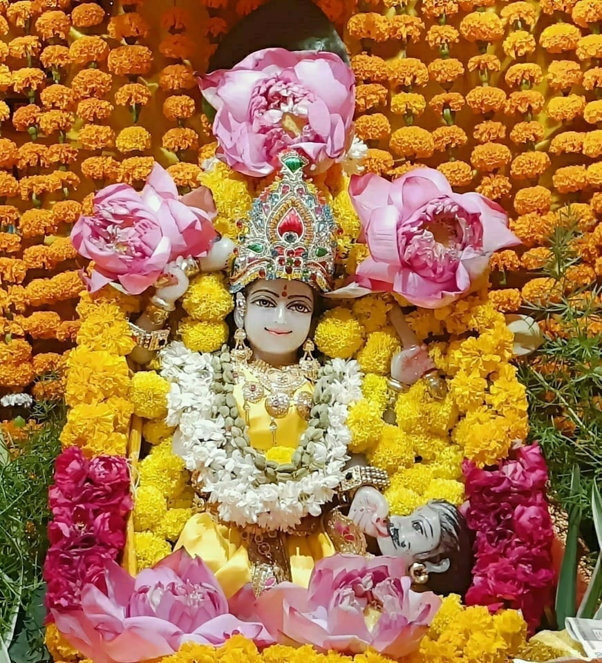 🙏 जय माई की 🙏