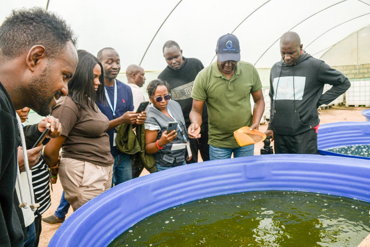 chuka__uni's tweet image. The seventh day of the training featured a hands-on learning experience with a field visit to Kibari Bee and Aqua Farm. Participants explored the integrated farming systems where both beekeeping and aquaculture thrive side by side.
At the farm, trainees were taken through the…