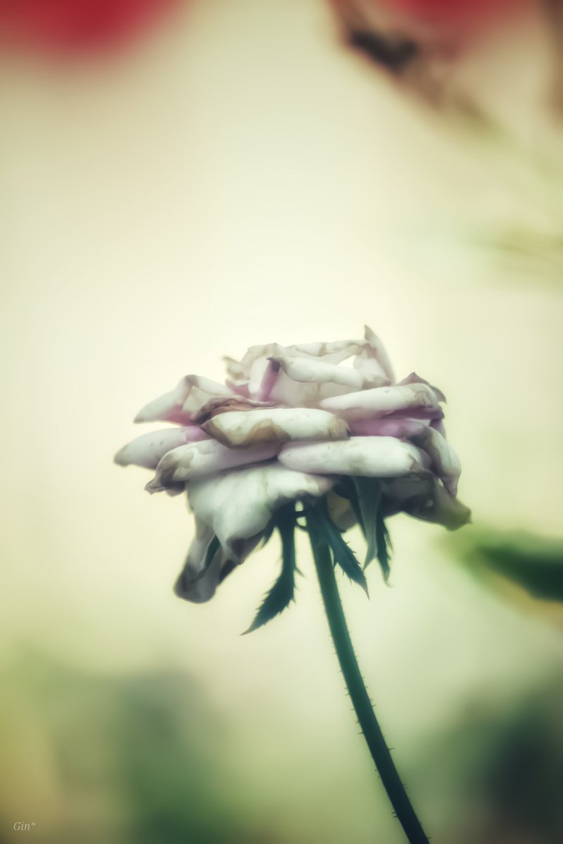 Yuma_r_g's tweet image. 