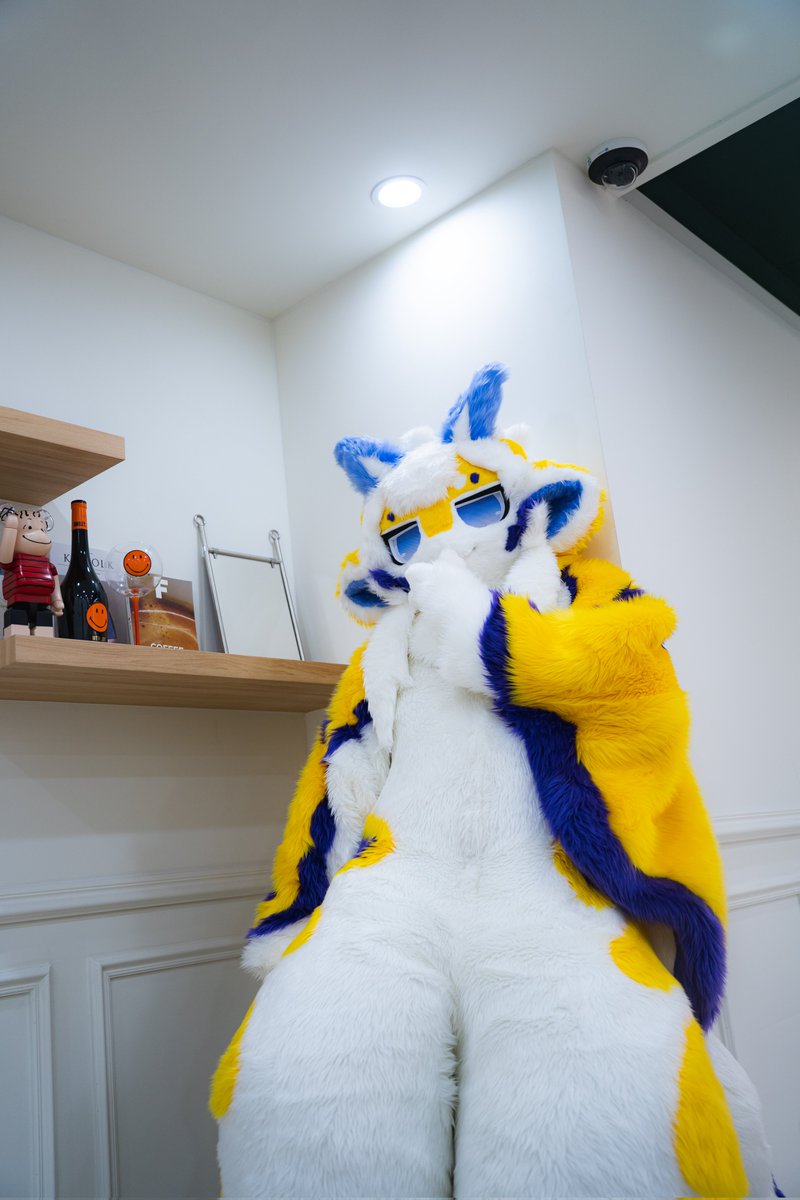 쉿 조용히 나만 바라봐 🤫🤫

#FursuitEveryday 
#Fursuit
#Miya