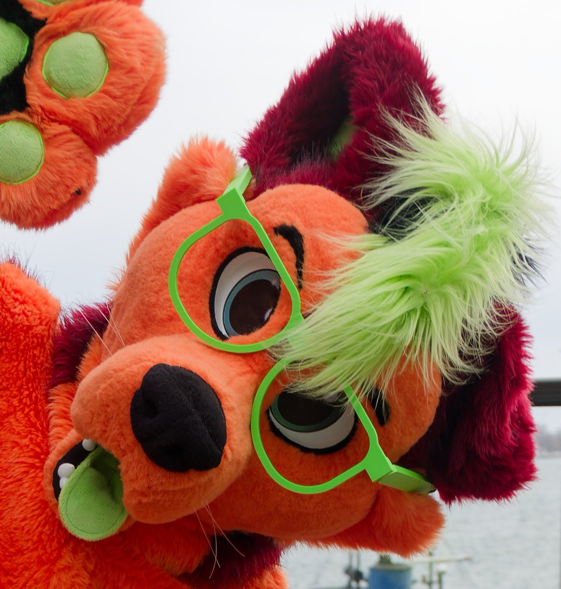 Look at these adorable Nerds!!! Who cant love them when theh wear their glasses 🕶 💙💚❤️🧡

#fursuiter #FursuitEveryday