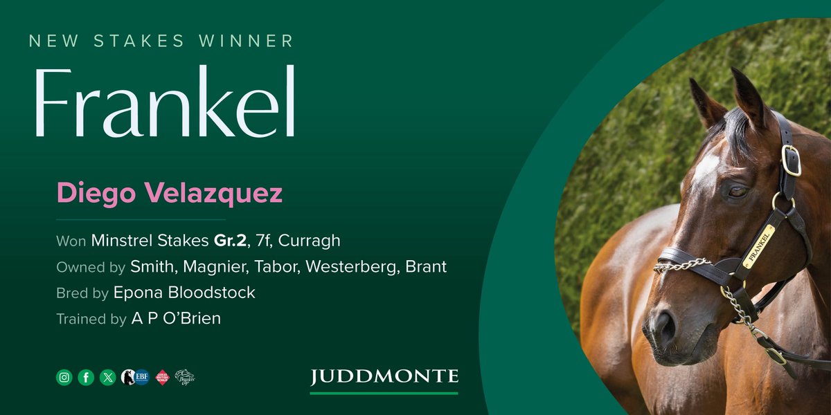 JuddmonteFarms's tweet image. FRANKEL colt Diego Velazquez claims his fourth Group-level victory in the Gr.2 Minstrel Stakes @curraghrace today #FrankelWatch #WorldClassTheWorldOver