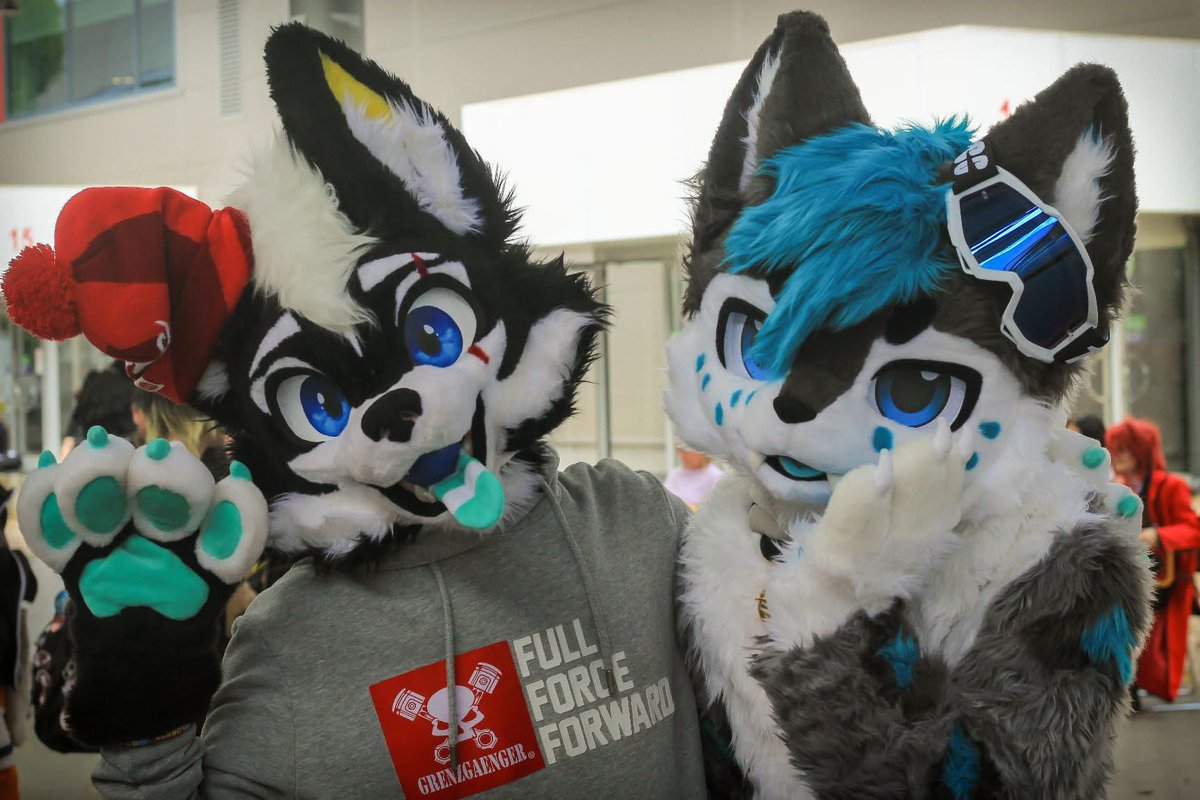 WhitePanther (@whitepanth3r99) on Twitter photo We see cuties~ on the other side of the screen๐ฑ๐ฉต๐ถ๐
Doggo ๐ถ๐ฅฐ: <a href="/Electr0_m0nster/">Electro_monster</a>
#FursuitEveryday #furry We see cuties~ on the other side of the screen๐ฑ๐ฉต๐ถ๐
Doggo ๐ถ๐ฅฐ: <a href="/Electr0_m0nster/">Electro_monster</a>
#FursuitEveryday #furry