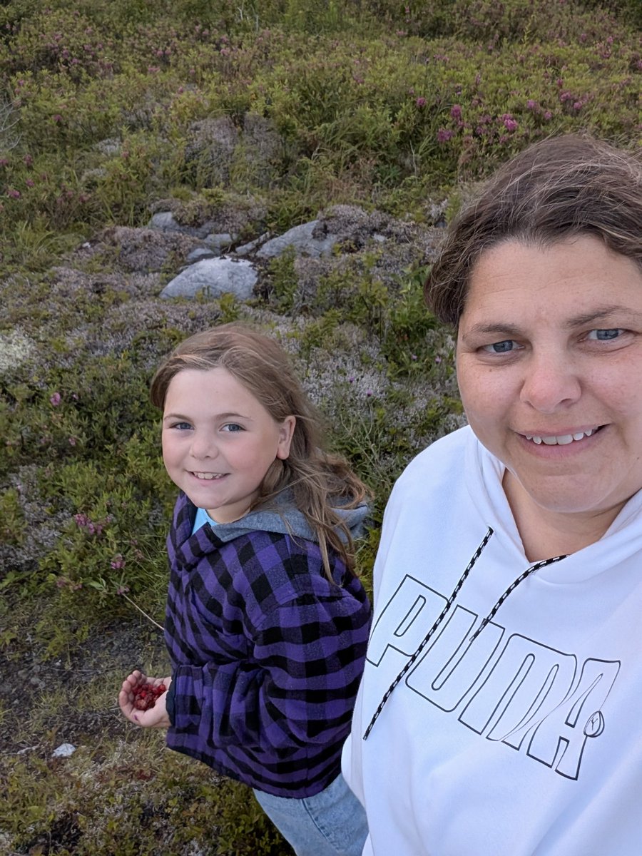 Berry picking. Found some strawberries.  Looks like there is a good sign of blueberries for next month.