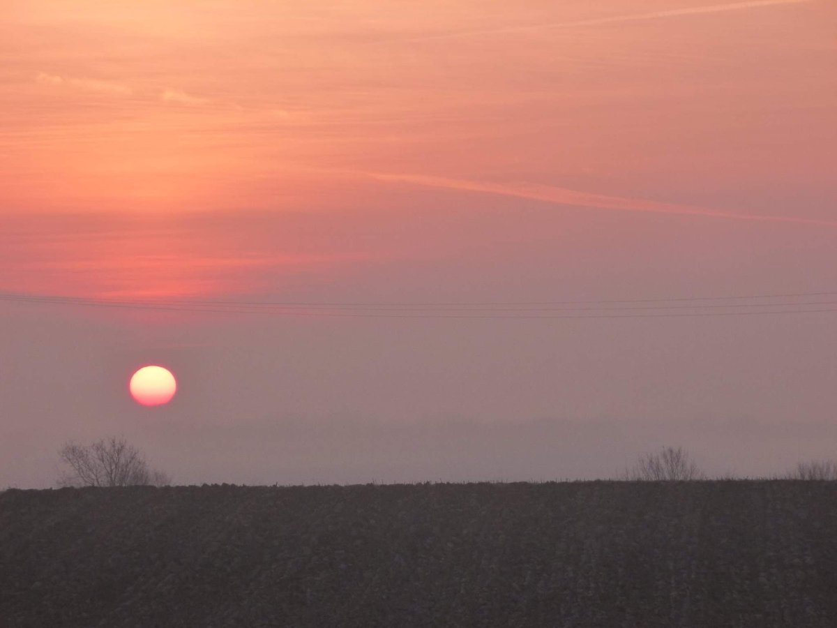 . . ❥   
       ॐ 

De ces instants
Volés
À l'Éternité 

Il restera ça 
L'Amour 
La Beauté 

Cette Liberté 
Au coeur 
Vivant
Vibrant

Que rien 
Ni personne
Pourra corrompre 

. . ❥   
       ॐ 

4 fois #6mots