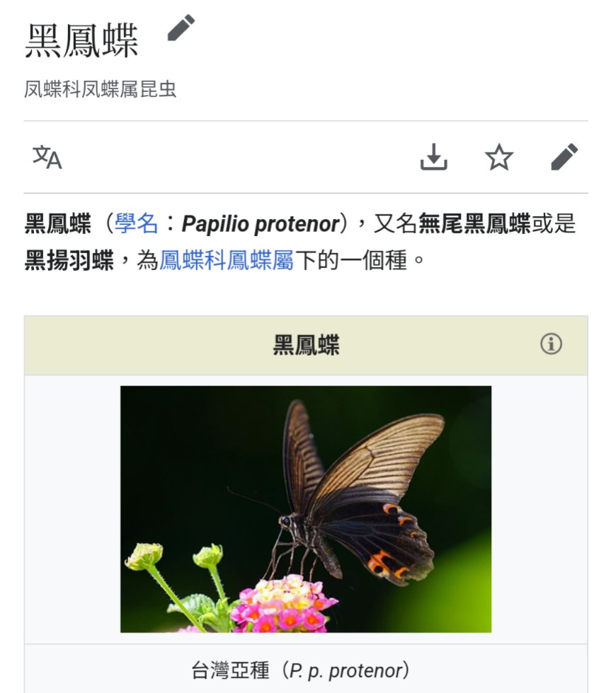 LVGpZtoeTP4nBHa's tweet image. 今天出門在一百公尺內看到兩隻這個喔，都很大隻，可愛（覺得小確幸