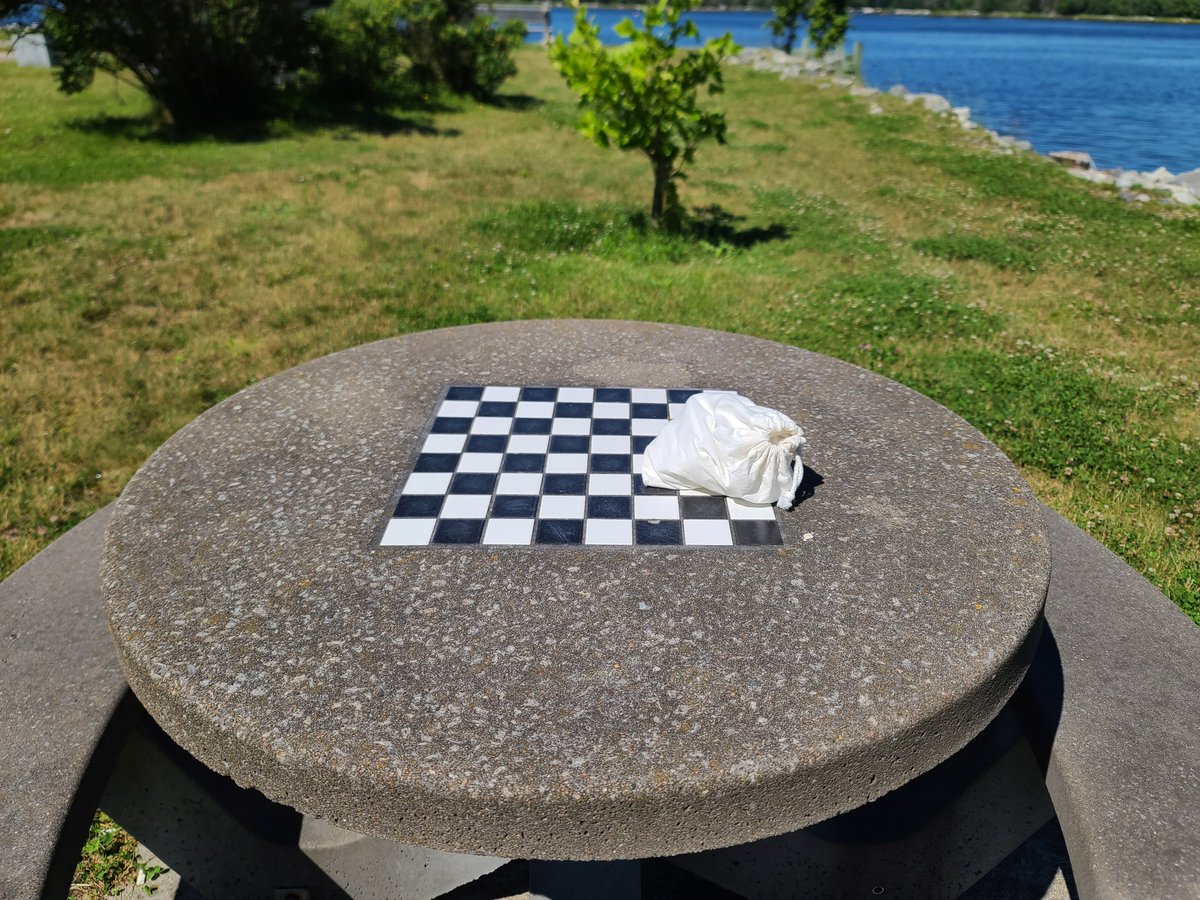 Canada's tweet image. It’s #WorldChessDay! Thousands of Canadians enjoy chess as a hobby, and over 10 Grandmasters call Canada home. Played in casual games, elite tournaments, and public parks, chess can be enjoyed by anyone—all you need is to find a board! ♟️🇨🇦