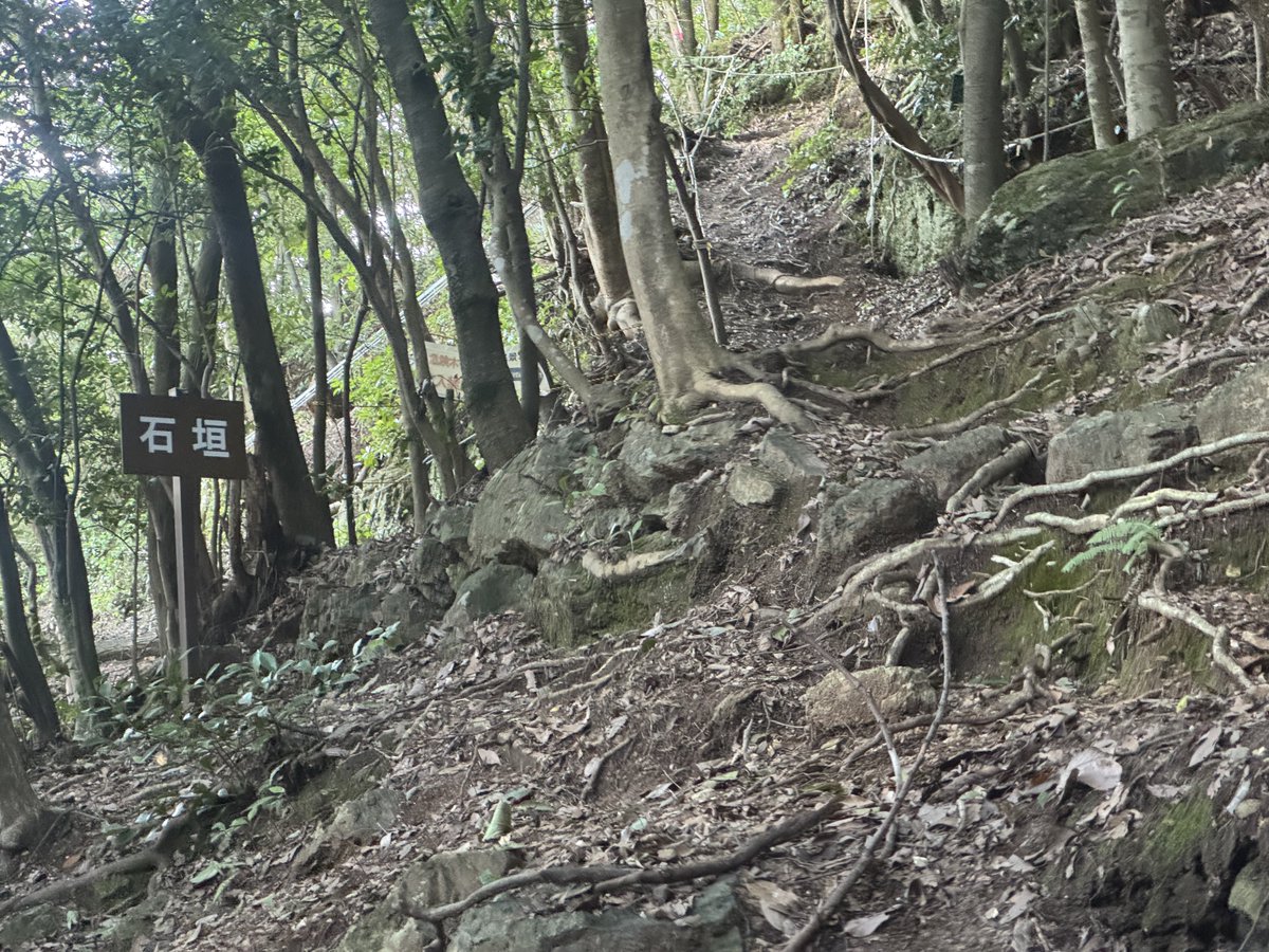 jpnmao's tweet image. 元々登るつもりじゃなかったけど興味がでてしまい、どう考えても山登る服装じゃない状態で山に入り反省するなどしましたが、小さい頃こんな感じで山で遊んでたので特に困ることもなく_〆(´q`..
でも次行く時はここは流石にトレッキングシューズっすねと思いました。いい子のみんなは真似しちゃダメ