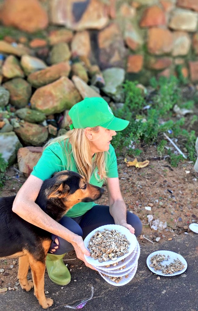lolsielove's tweet image. In the township, they call me the dog whisperer. They say the dogs see my heart — and maybe that’s true, because somehow they always trust me.
Thank you to everyone who supports us — one paw at a time, we’re making a difference.