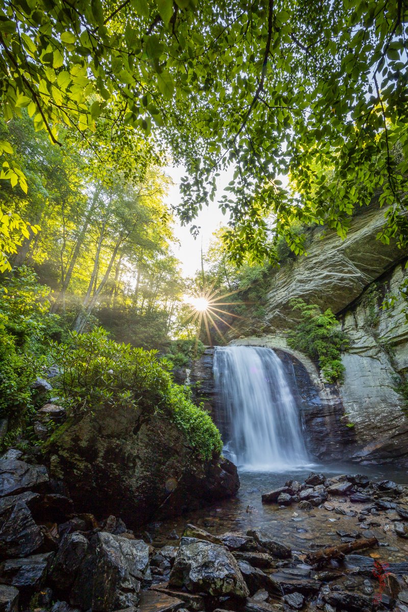 redrose_anna's tweet image. Just added the first print option to my new "Waterfall Category." Such an exciting moment!!
Title: Looking Glass Morning Sun