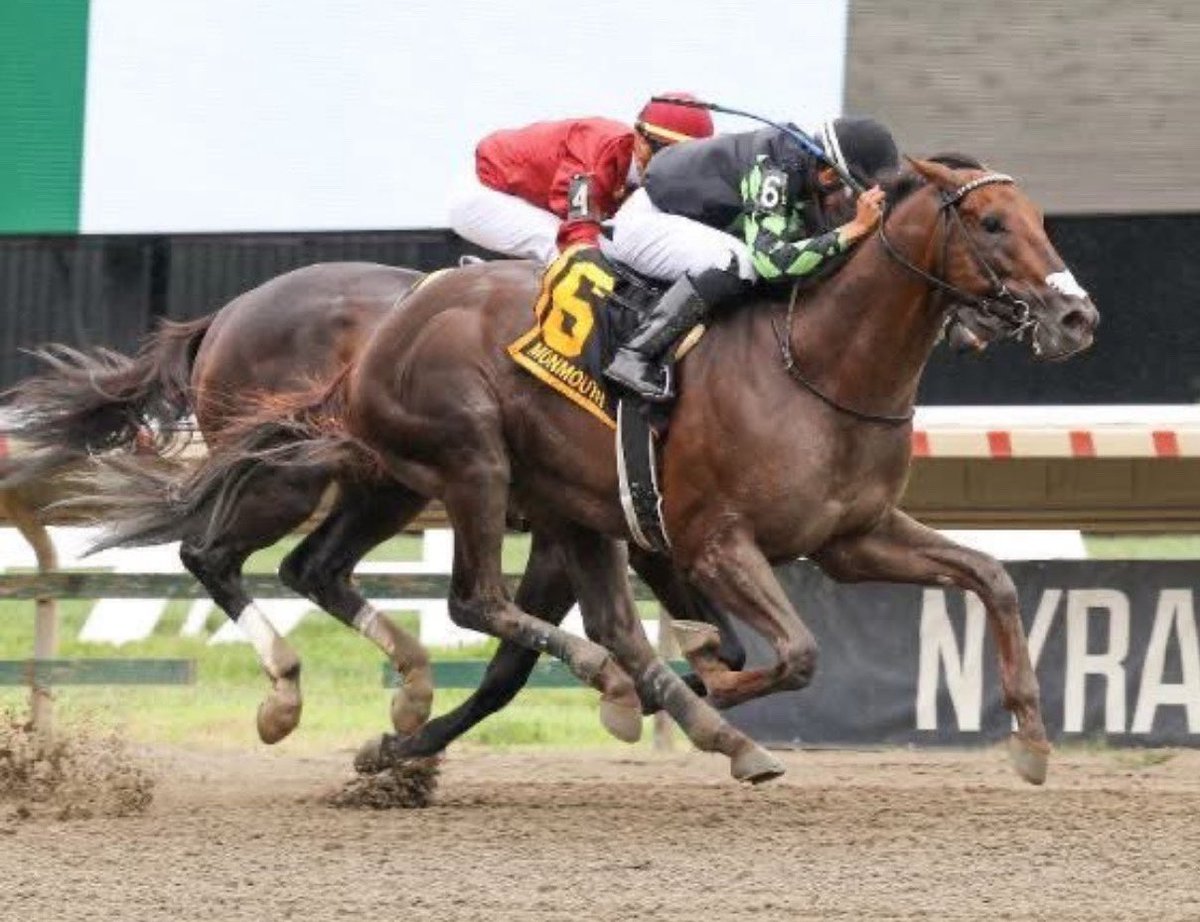 Stakes Winners 🏆 (@stakeswinners) on Twitter photo 🏆 SURFACE TO AIR
(Samuel Marin - Panagiotis A. Synnefias) MONMOUTH CUP STAKES 2025 ($400,000) Monmouth Park <a href="/MonmouthPark/">Monmouth Park</a> <a href="/JOCKEYSMARIN/">Samuel Marin🇻🇪</a> <a href="/Synnefias_P/">Panagiotis A Synnefias</a>
📷 <a href="/MonmouthPark/">Monmouth Park</a> 🏆 SURFACE TO AIR
(Samuel Marin - Panagiotis A. Synnefias) MONMOUTH CUP STAKES 2025 ($400,000) Monmouth Park <a href="/MonmouthPark/">Monmouth Park</a> <a href="/JOCKEYSMARIN/">Samuel Marin🇻🇪</a> <a href="/Synnefias_P/">Panagiotis A Synnefias</a>
📷 <a href="/MonmouthPark/">Monmouth Park</a>